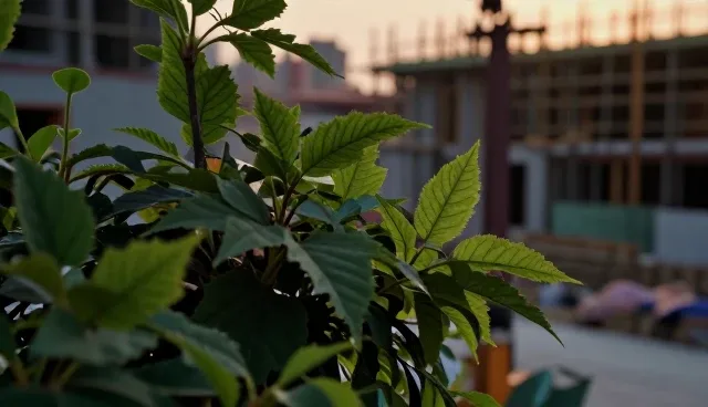 如何提升宣传片制作的性能表现